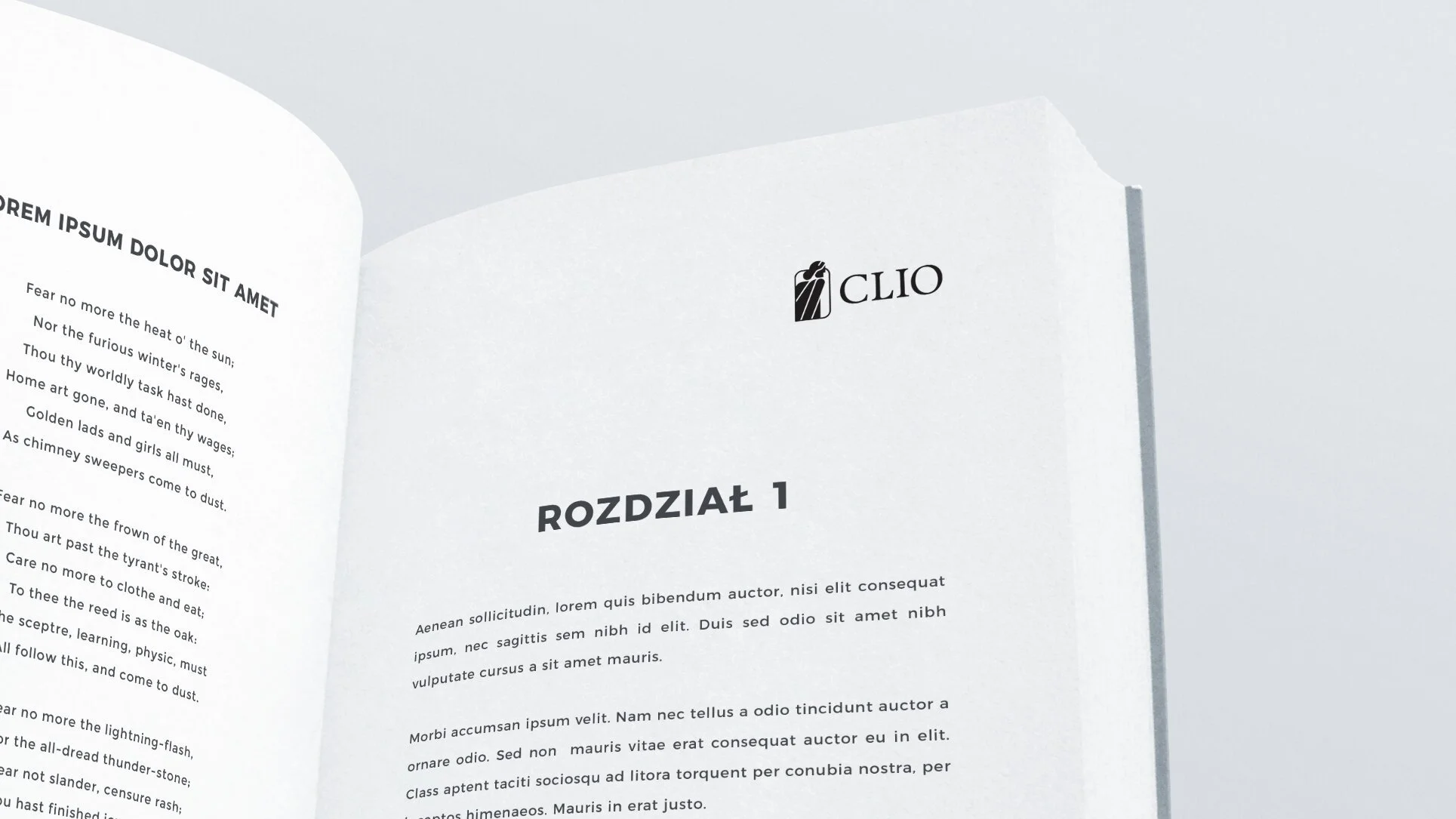 Clio Publishing logo mockup 2