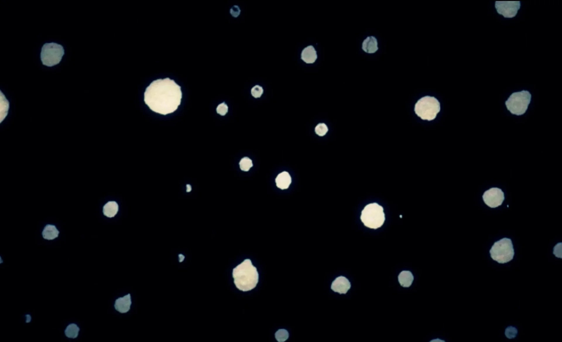 Fear Has Little Eyes — animation still 4